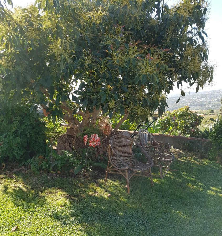منزل الضيف Buenavista de Abajo  في La Sabana المظهر الخارجي الصورة